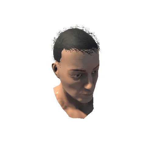 L_Head_1_Skin Variant